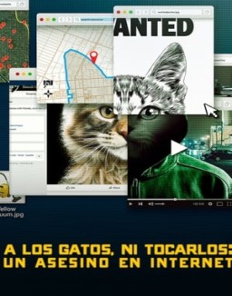 A los gatos ni tocarlos: Un asesino en Internet temporada 1 capitulo 2