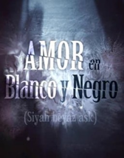 Amor en blanco y negro temporada 1 capitulo 15