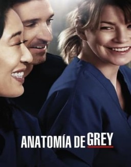 Anatomía de Grey temporada 10 capitulo 9