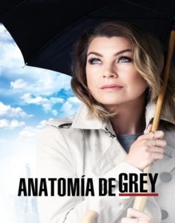 Anatomía de Grey temporada 12 capitulo 1