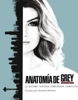 Anatomía de Grey temporada 13 capitulo 2