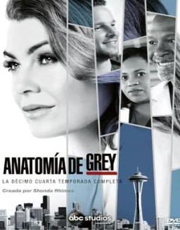 Anatomía de Grey temporada 14 capitulo 5