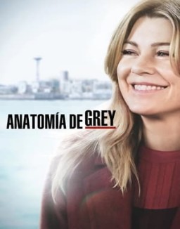 Anatomía de Grey temporada 15 capitulo 24