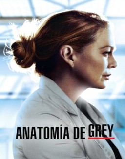 Anatomía de Grey Temporada 17