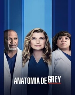 Anatomía de Grey temporada 18 capitulo 9