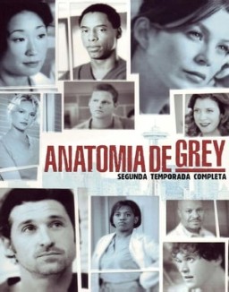 Anatomía de Grey temporada 2 capitulo 25