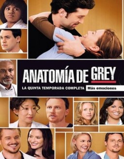 Anatomía de Grey temporada 5 capitulo 2