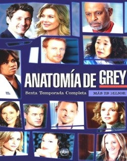 Anatomía de Grey temporada 6 capitulo 9