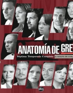 Anatomía de Grey temporada 7 capitulo 19