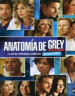 Anatomía de Grey temporada 8 capitulo 18