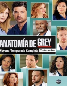 Anatomía de Grey temporada 9 capitulo 2