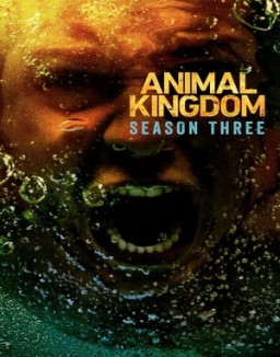 Animal Kingdom temporada 3 capitulo 11