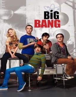 Big Bang temporada 3 capitulo 17