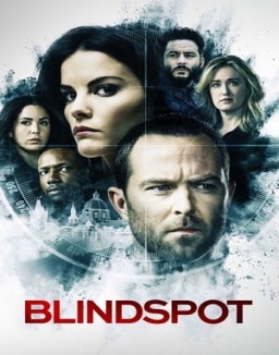 Blindspot saison 1