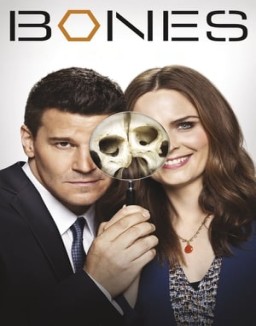 Bones temporada 1 capitulo 15