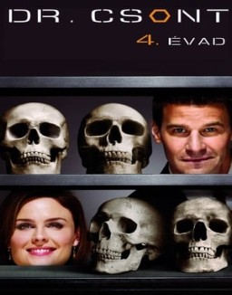 Bones temporada 4 capitulo 13