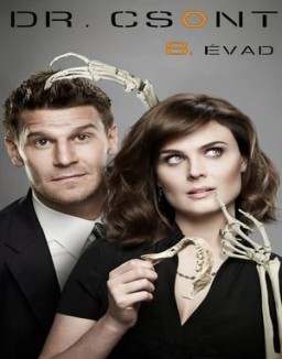 Bones temporada 8 capitulo 8