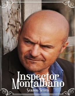 Comisario Montalbano saison 7