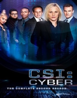 CSI: Cyber temporada 2 capitulo 9