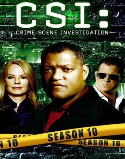 CSI: Las Vegas temporada 10 capitulo 7