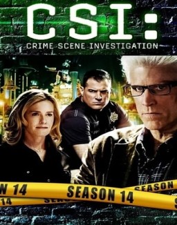 CSI: Las Vegas temporada 14 capitulo 9