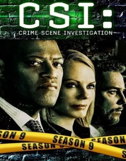 CSI: Las Vegas temporada 9 capitulo 8