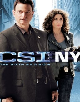 CSI: Nueva York saison 6