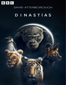 Dinastías saison 1