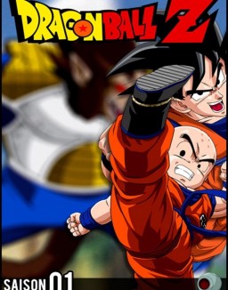 Dragon Ball Z temporada 1 capitulo 17