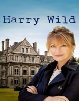 Harry Wild saison 1