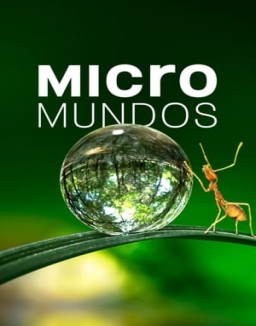 Micromundos temporada 1 capitulo 2