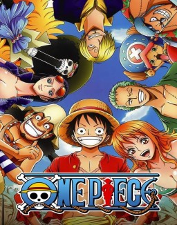 One Piece (1999) temporada 1 capitulo 317