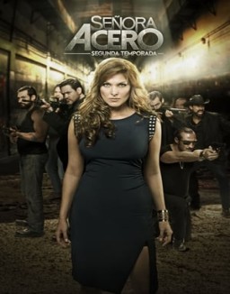 Señora Acero temporada 1 capitulo 20