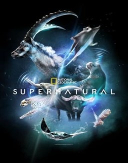 Super/Natural temporada 1 capitulo 4