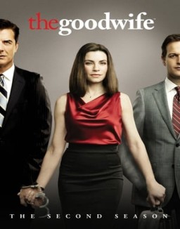 The Good Wife temporada 2 capitulo 22